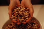 hand full of beans